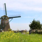 Dutch Windmills