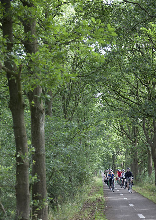 Great bike trail that used to be a train rail.