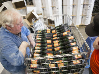 Lots of Saison, ready to drink!