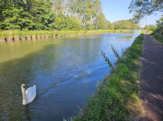 Canal Paths leaving Strasbourg